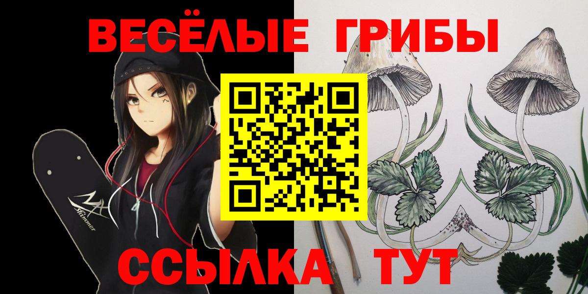 Псилоцибиновые грибы Psilocybine cubensis Братск