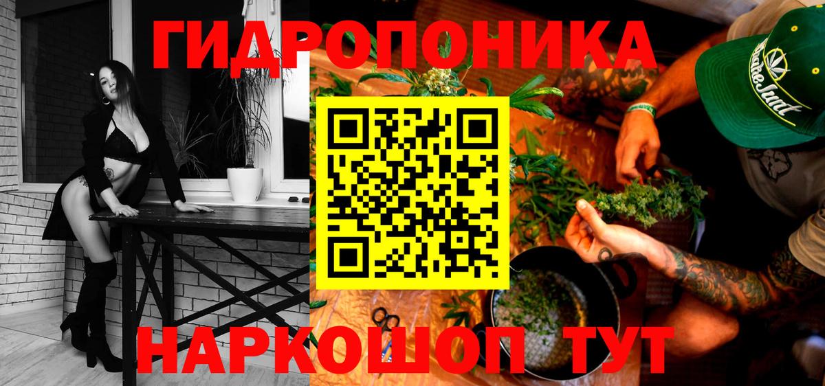 Канабис сатива Братск